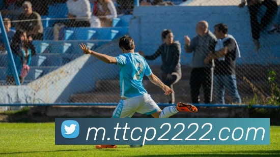 天天彩票官方网站发展历程